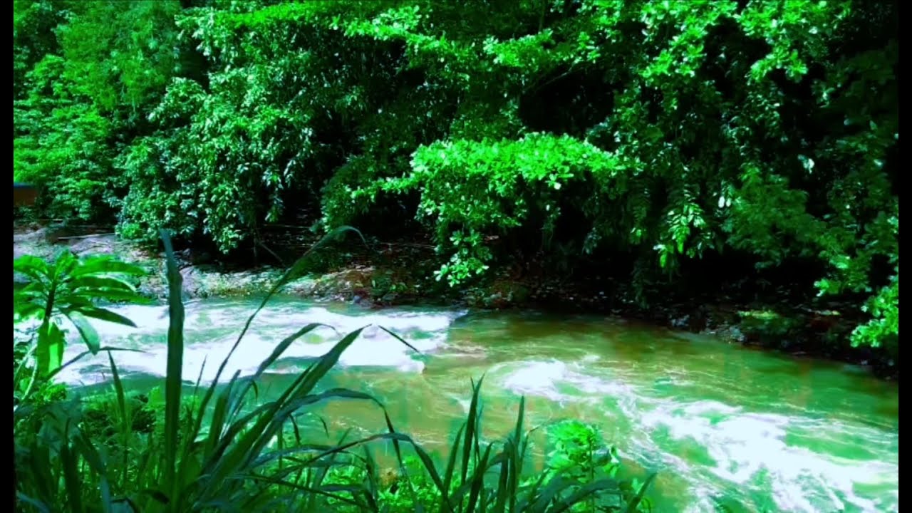 Relaxing River Sound calm water for sleep, stress relief, for yoga, for meditation