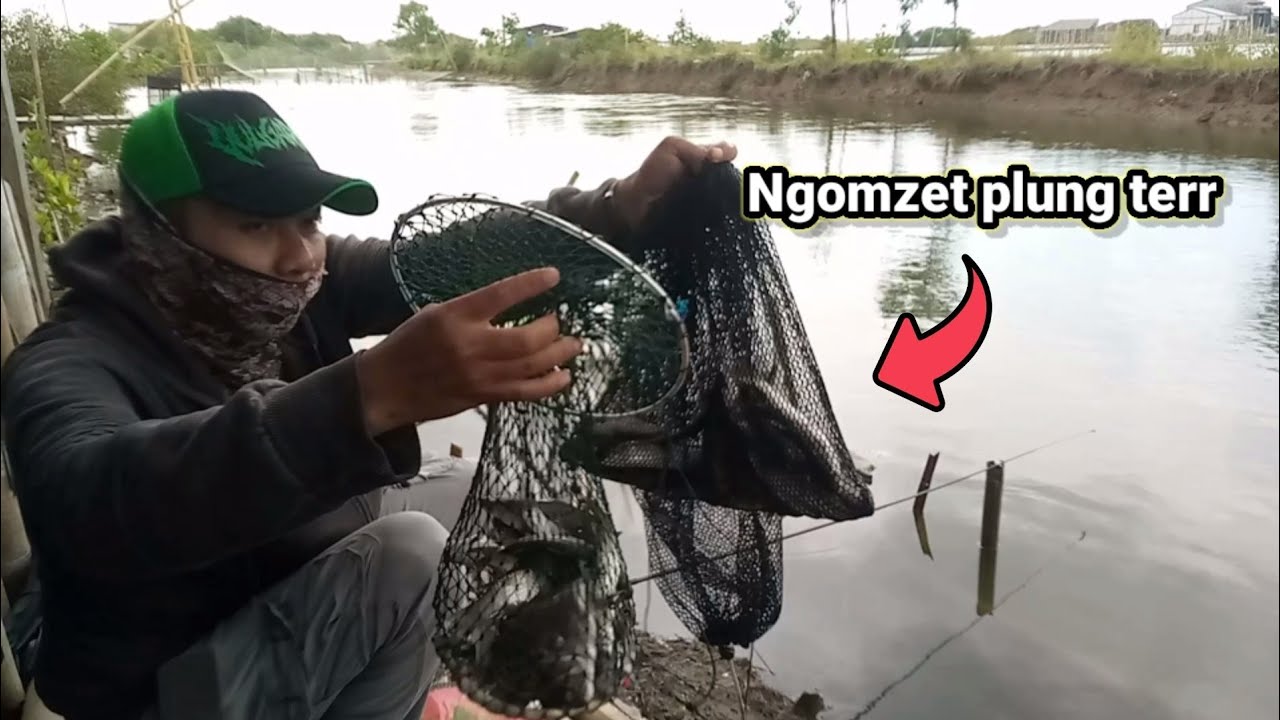 Gak nyangka !! pinggir jalan lalu lalang motor ternyata banyak belanaknya