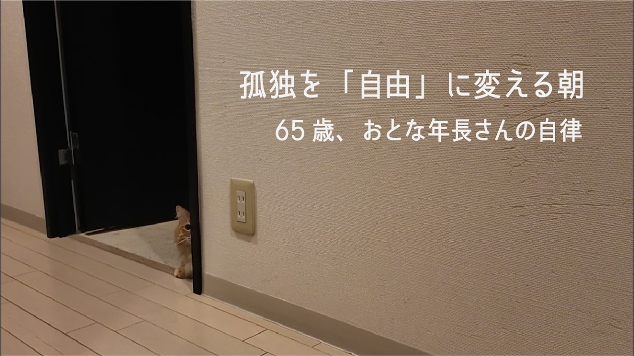 65歳、おとな年長さんの朝。孤独を「自由」に変える、夜明け前の整えルーティン