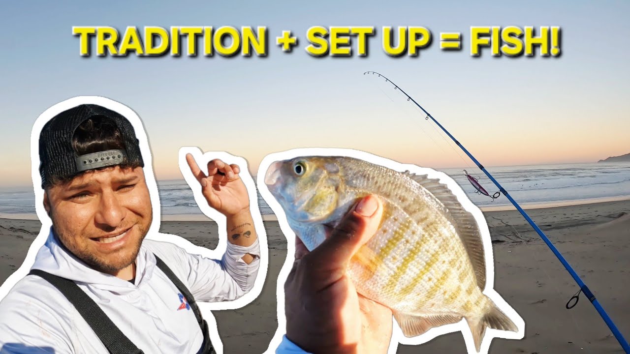 Sharing My SURF FISHING Set up And TRADITION to having a good day California Coast LIMITS OF PERCH!