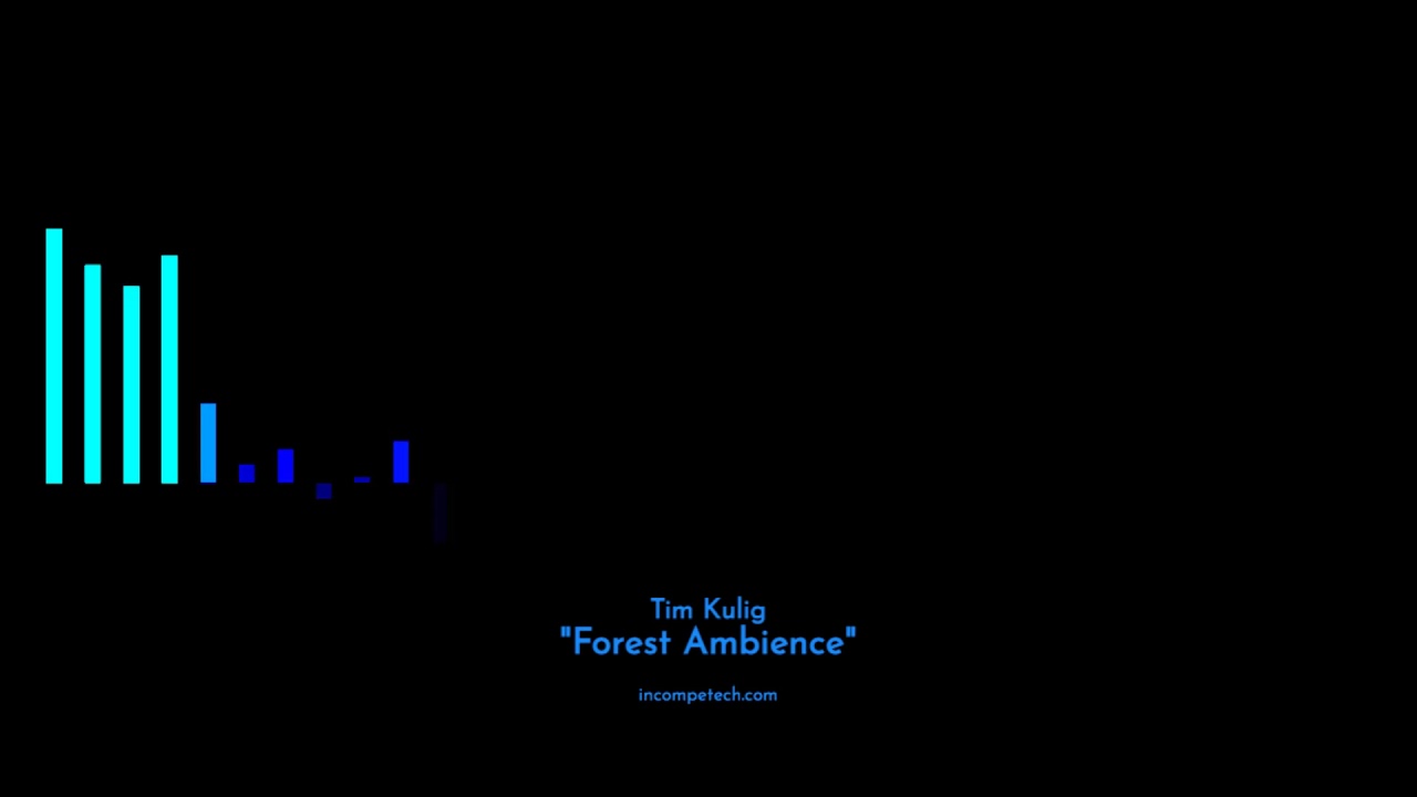 Forest Ambience by Tim Kulig (Free Music)