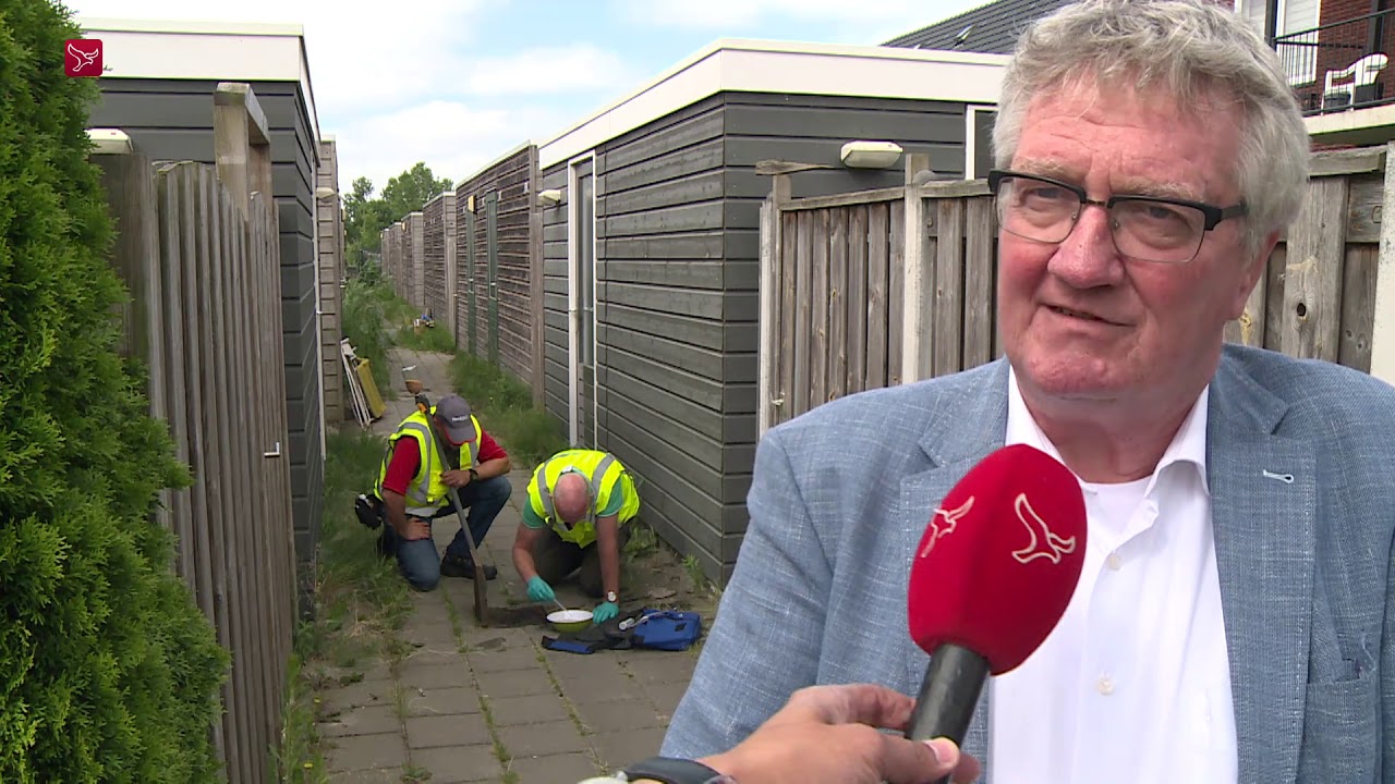 NVWA begint met bestrijding nieuwe exotische mug in Lelystad