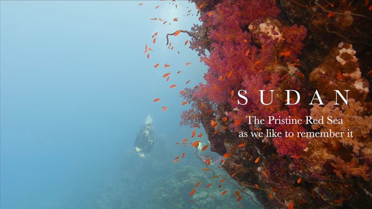 SUDAN. The Pristine Red Sea as we like to remember it