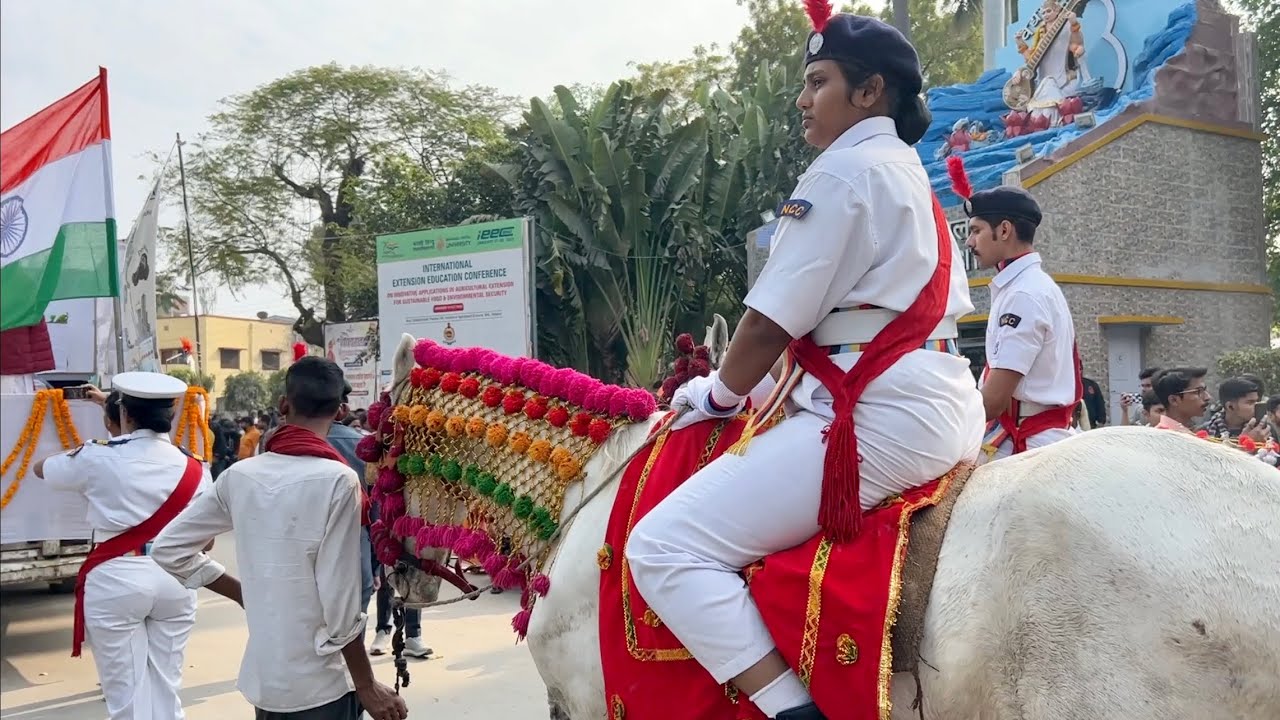 हाथी पर दूल्हा | झाँकी | Banaras Hindu University