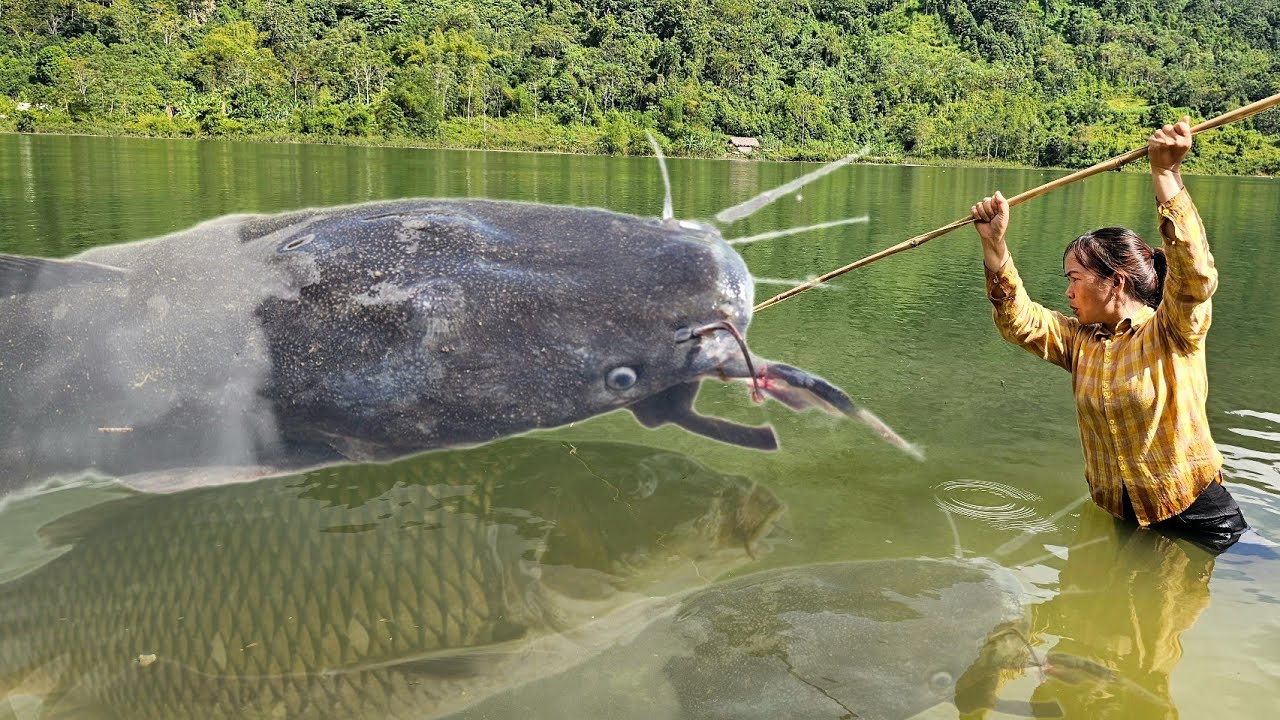 Traditional Fishing Techniques to Catch Giant Fish with Many Skills - Chicken Coop Finishing