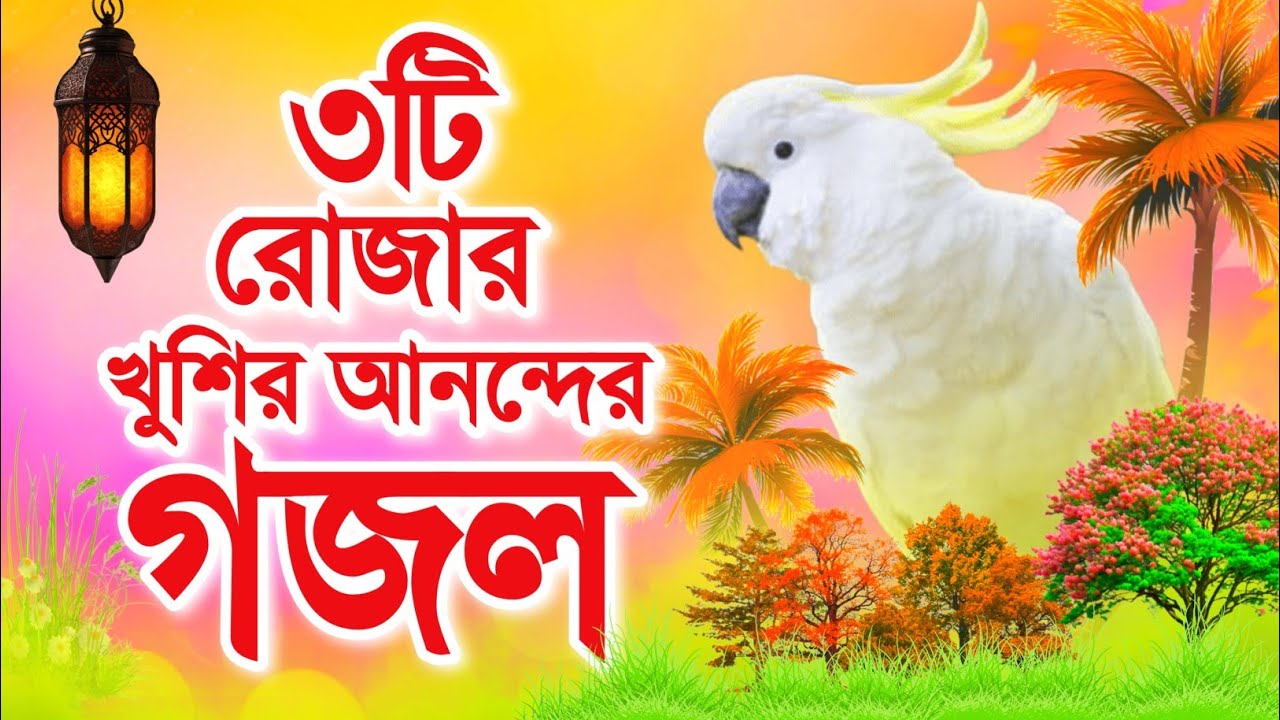 মধুর সুরের ৩টি রমজানের খুবই সুন্দর গজল | Ramzan Special Gojol | রমজানের গজল | রোজার গজল | Ramadan