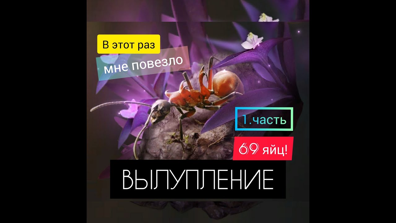 ВЫЛУПЛЕНИЕ ГЕНЕРАЛОВ! Часть 1. Сколько мне упадёт??? The Ants: Underground Kingdom