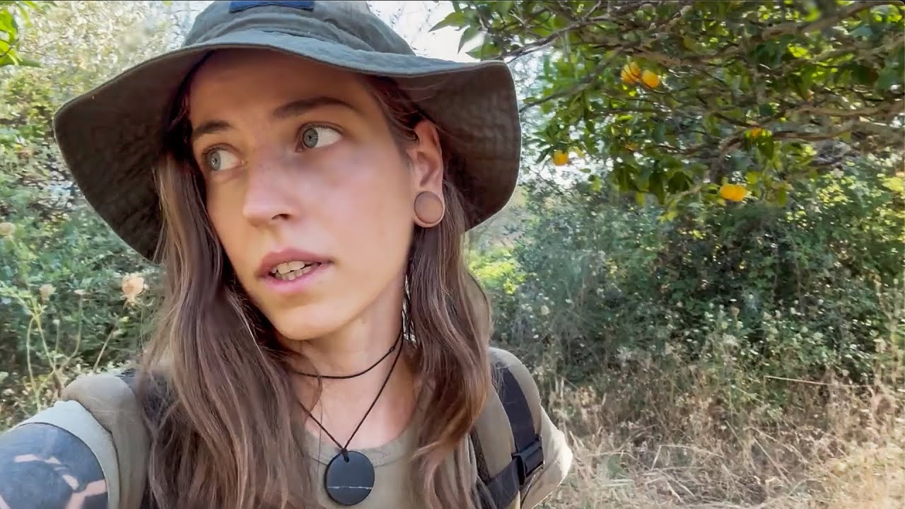 #3 BÄR IM CAMP? WESPENANGRIFF, GUTE UND SCHLECHTE NEUIGKEITEN // Die verlassene Farm erkunden