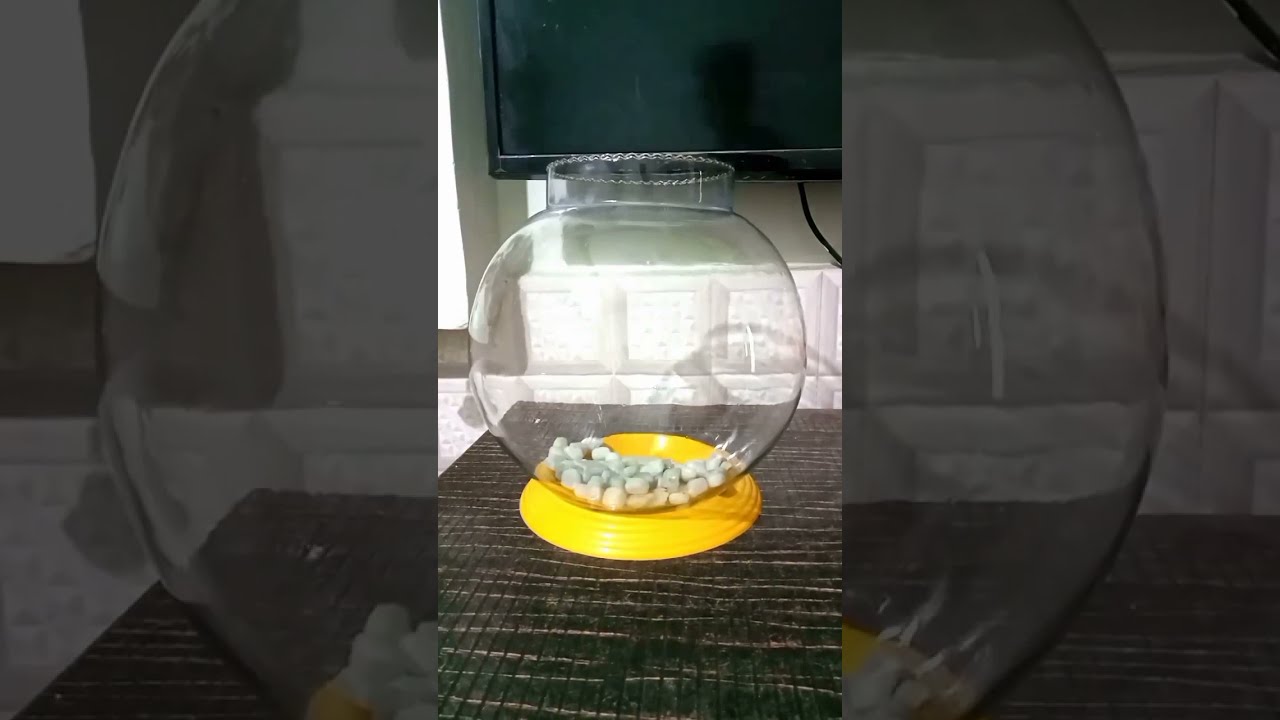How To Change Water Fish Bowl ll Goldfish Bowl Water Change🔥🔥🔥