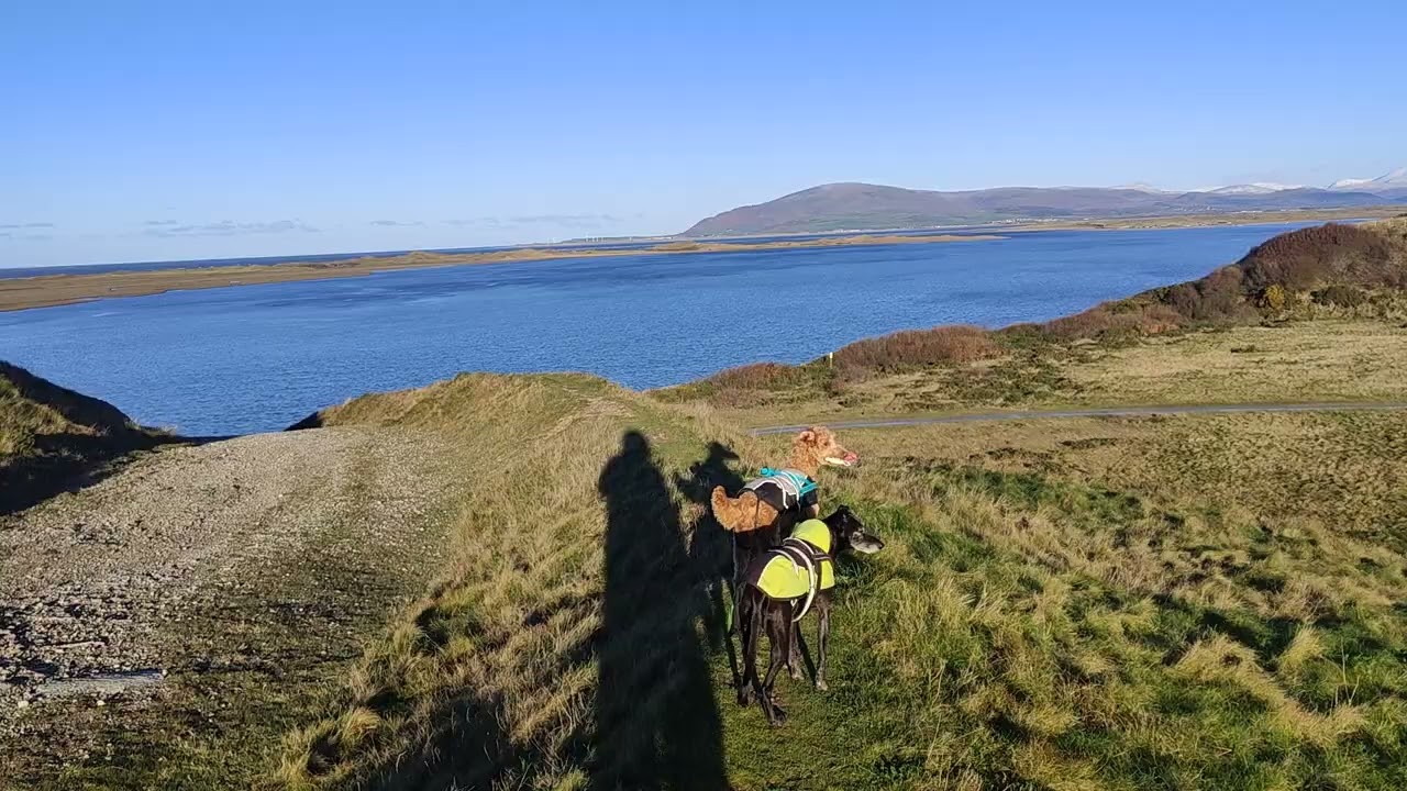 A stroll on Barrow's slag bank on a sunny November day