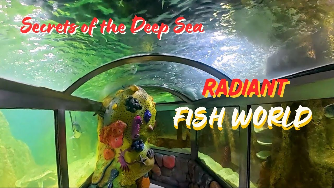 সাগর তলের অতল রহস্য | Secrets of the Deep Sea | Radiant Fish World | Motion & Memories | Travel Vlog