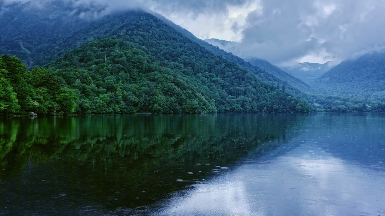 Forest Nature with Rain Sounds and Birdsong | 8 hours relaxing Nature Ambience for Sleep/relaxation