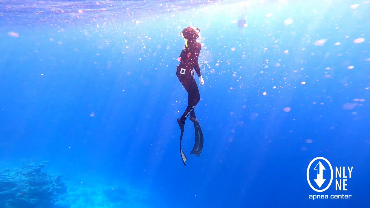 Freediving in &Auml;gypten mit Only One Apnea Center