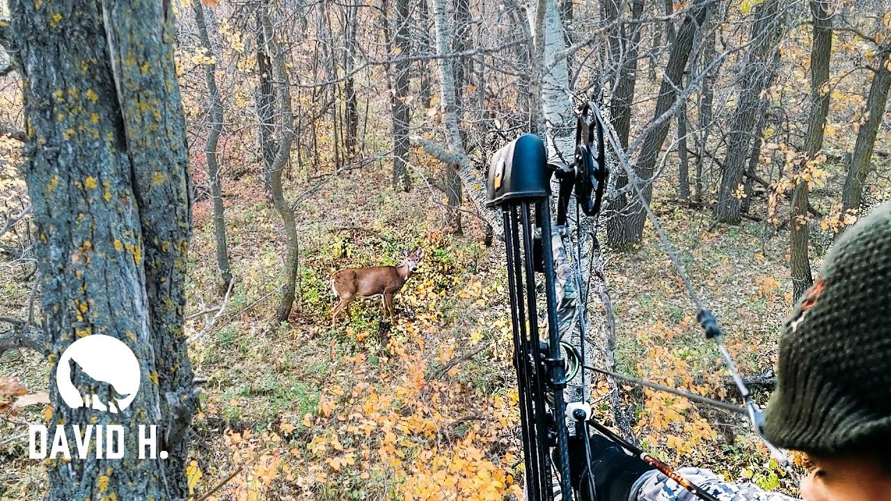 Kid takes 1st DEER DOWN!!! (bowhunt)