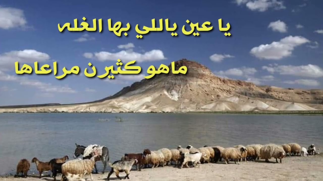 ربابة صالح مبارك الشراري.. مناظر من البادية السورية