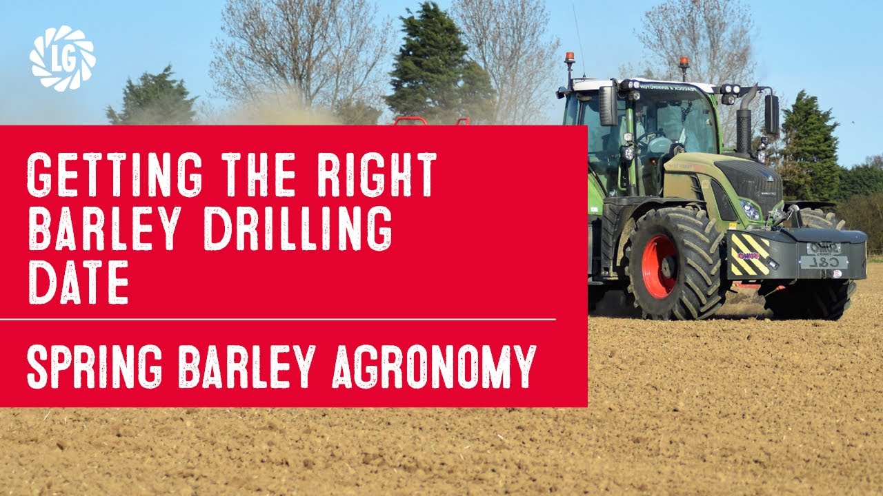 Spring Barley Agronomy Series - 3.  Getting the Right Drilling Date