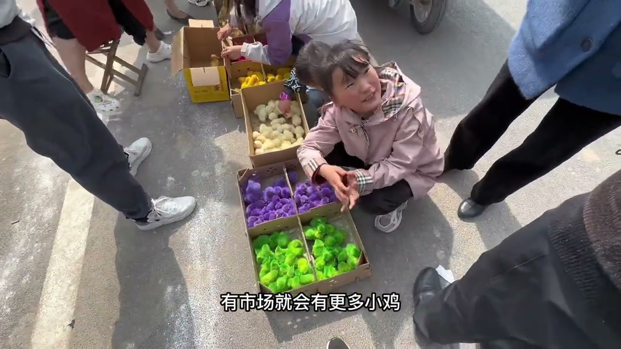 承蒙支持，给奶奶的这两只狗狗交给你们起个名字吧#记录真实生活