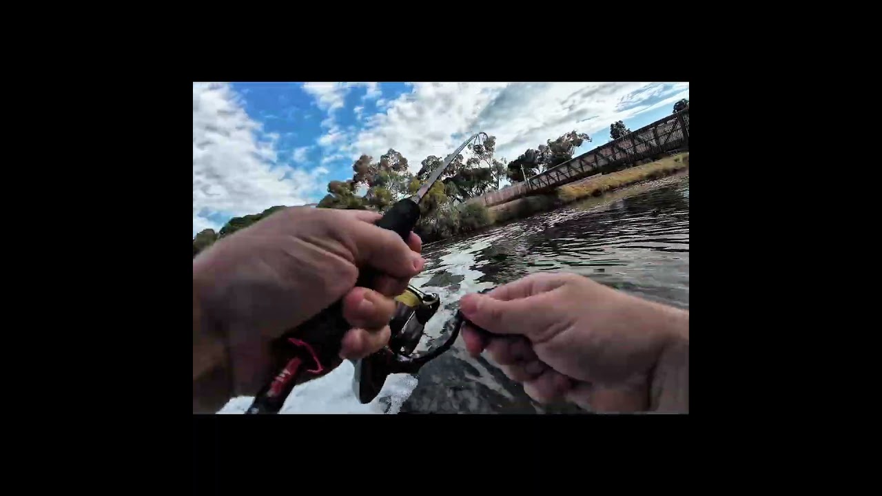 Pinkie snapper on ultralight #fishing #snapperfishing #ultralightfishing #lurefishing #fishing
