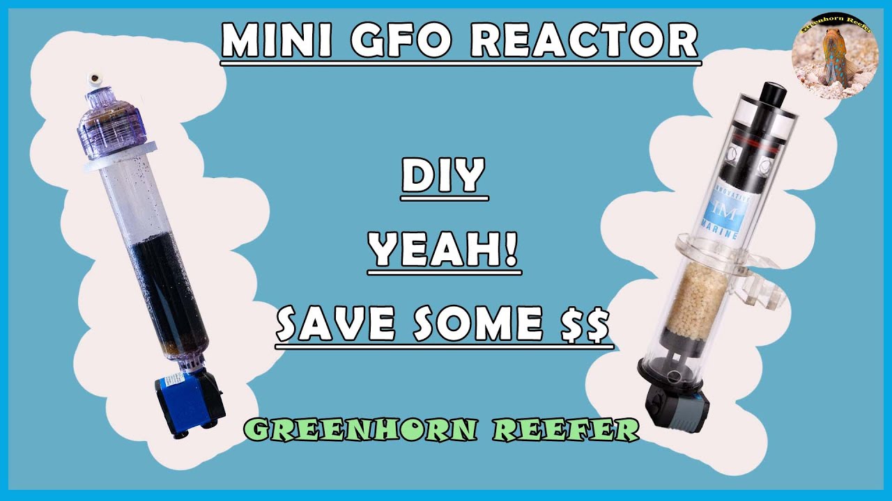DIY GFO Reactor, 1/3 ceny markowego | 380 California Reef Tank | Greenhorn Reefer