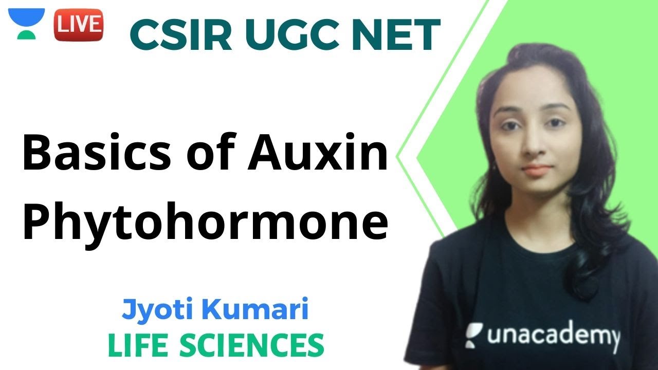 Basics of Auxin Phytohormone | Life Sciences | Unacademy Live - CSIR UGC NET | Jyoti Kumari