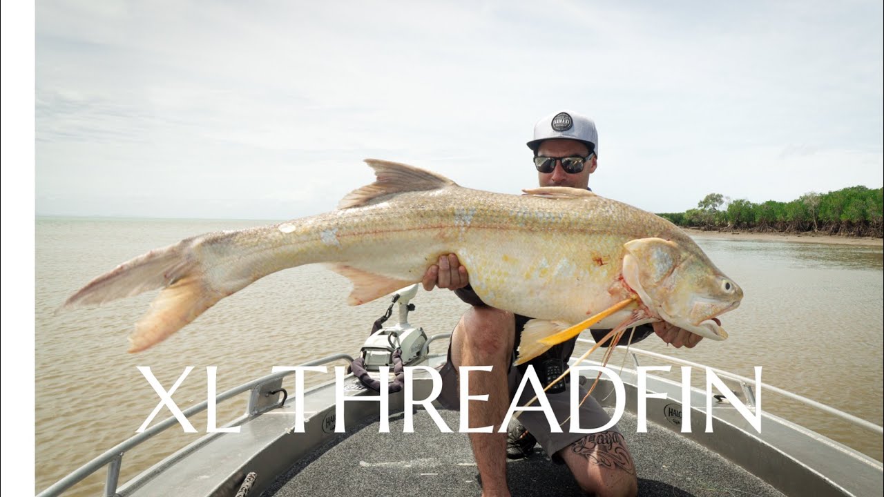 Solo session - what I look for when chasing these giants!