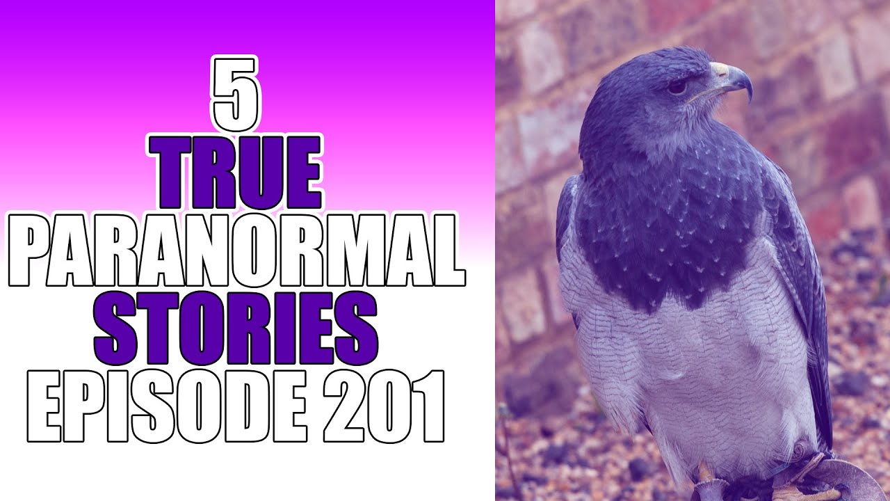 5 TRUE PARANORMAL STORIES EPISODE 201 Ghost Stories