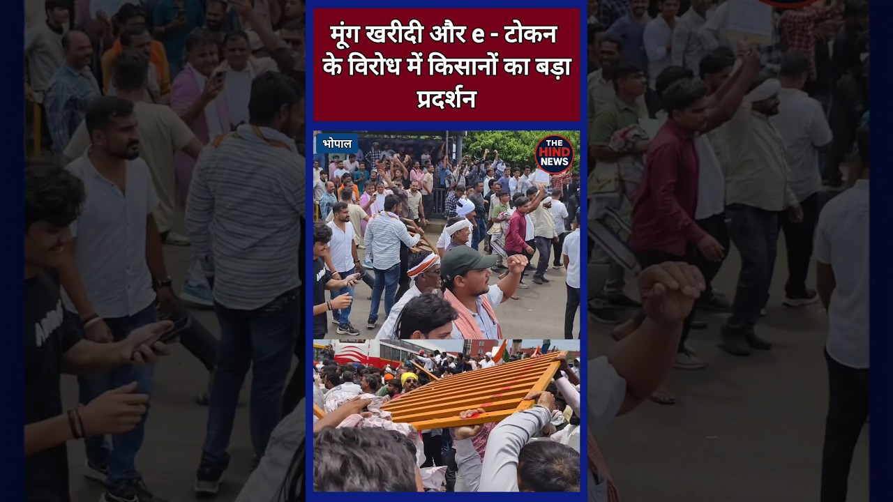 Farmers demand 100% procurement of mung beans. #FarmersProtest #Farmer #MohanYadav #ShivrajSinghC...