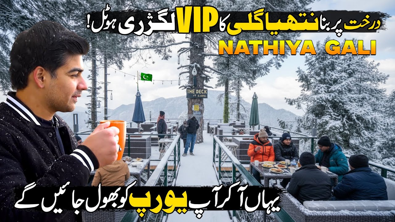This is Not Switzerland, This is Nathia Gali 🇵🇰 | Alpine Hotel and Resort | Snowfall in Nathia Gali
