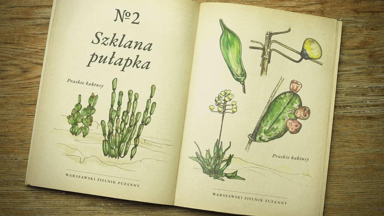 Zuzanna - Szklana pułapka (Warszawski Zielnik Zuzanny)