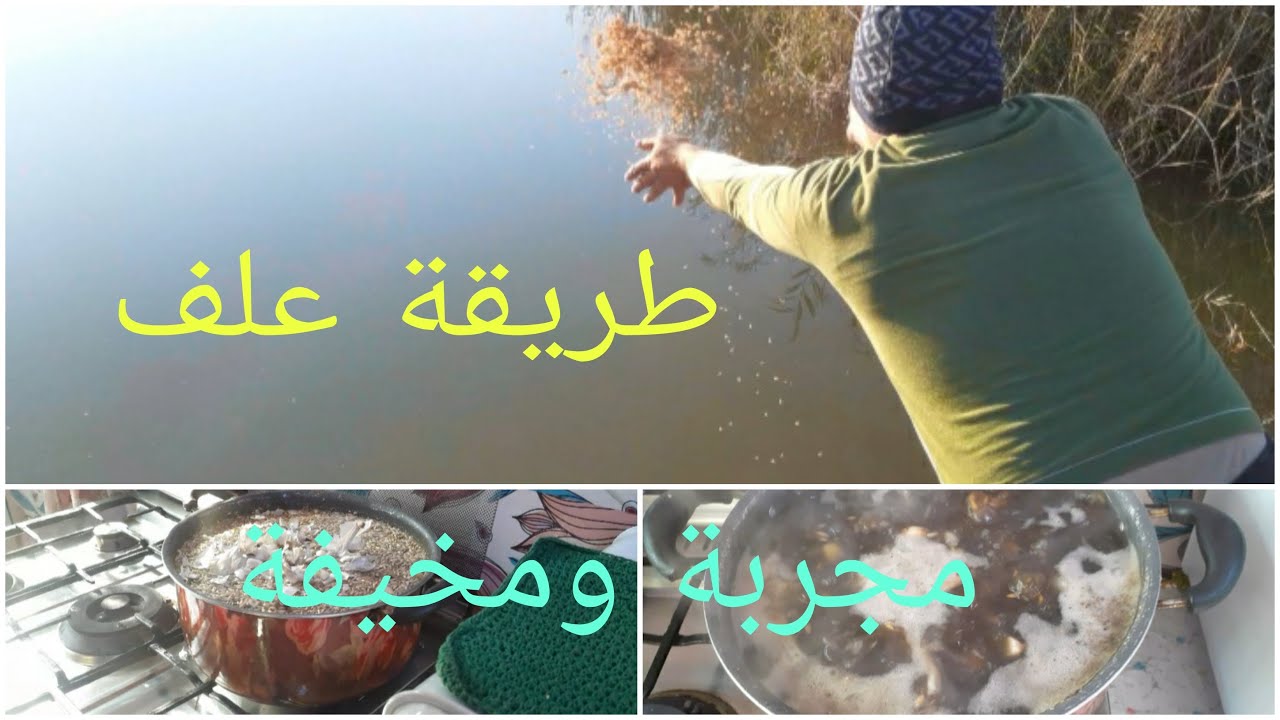 #علف_للسلية افضل طريقة علف لتعليف المكان لجذب الاسماك الكبيره وجميع الاحجام لاتنسون دعم قناتي رجآء