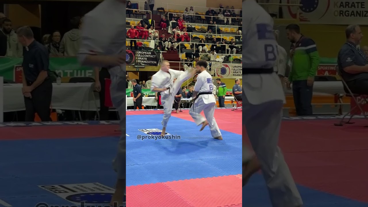 The European Full-Contact Karate Cup (EFKO) #Kyokushin #Karate 23-24.11.2024 Antwerp