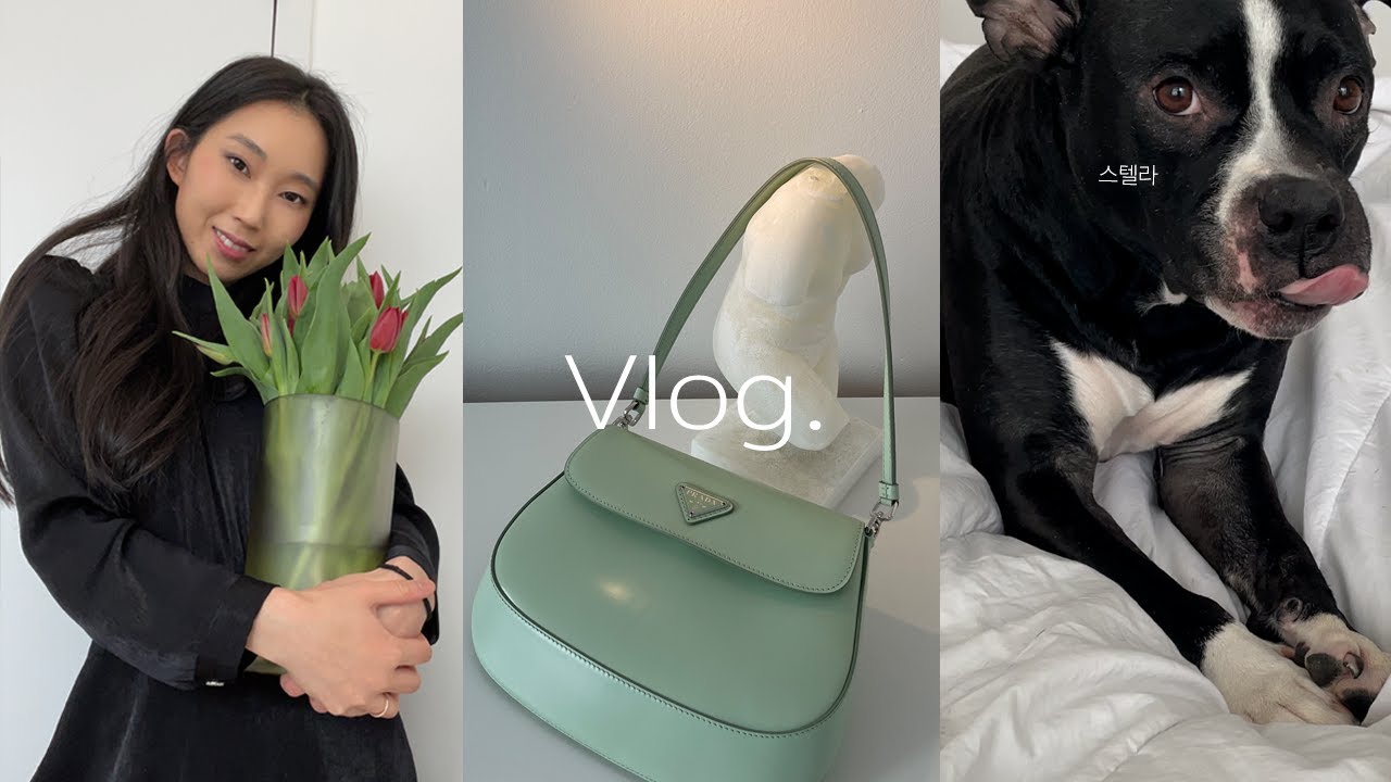 Vlog. 프라다 클레오 플랩백 아쿠아💚, 발렌타인 주말 브런치 데이트. 알랭 드 보통의 영혼의 미술관.