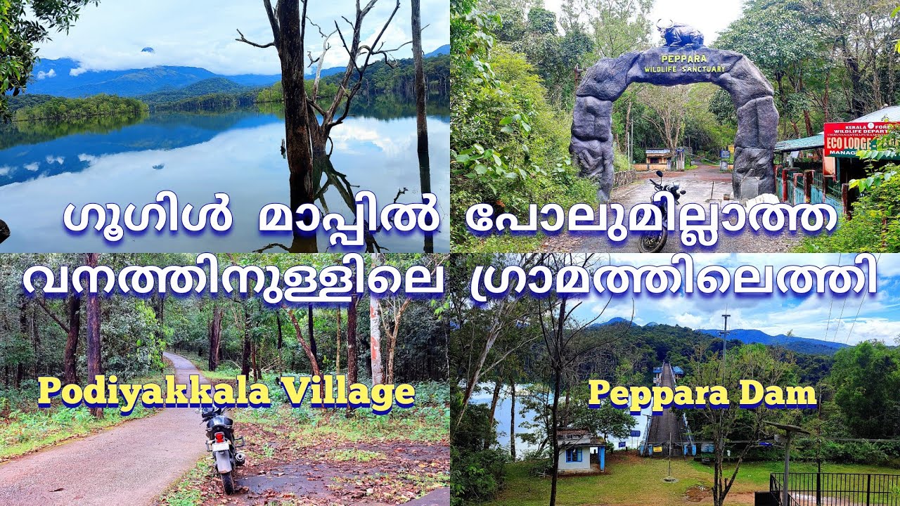 Podiyakkala | Hidden Village in Peppara  | Peppara Dam | Peppara Wildlife Sanctuary | ExoticBeast