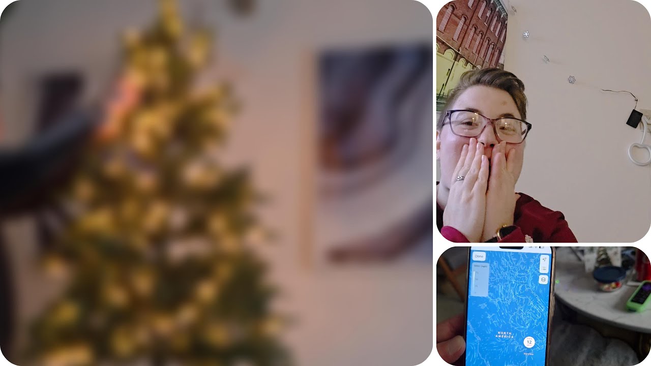 We Got Our Christmas Tree