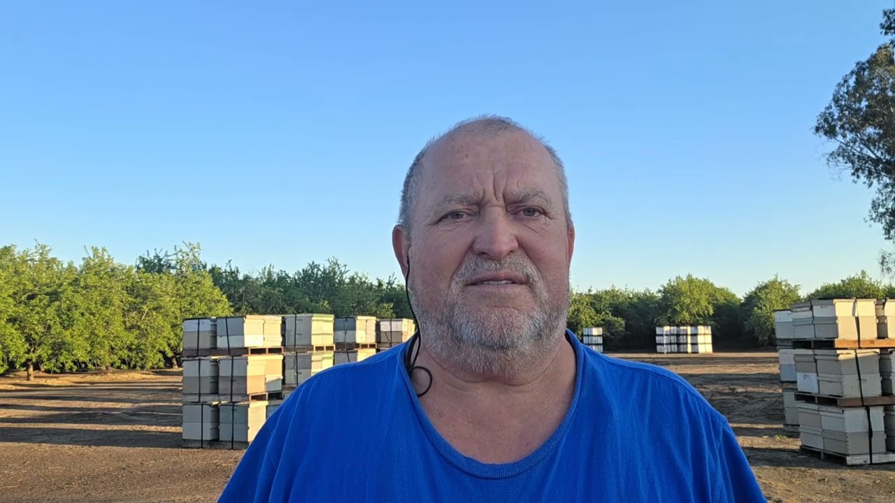 Распрадается пчеловодный ивенарь компании BZ Bodie tel 559 7658000