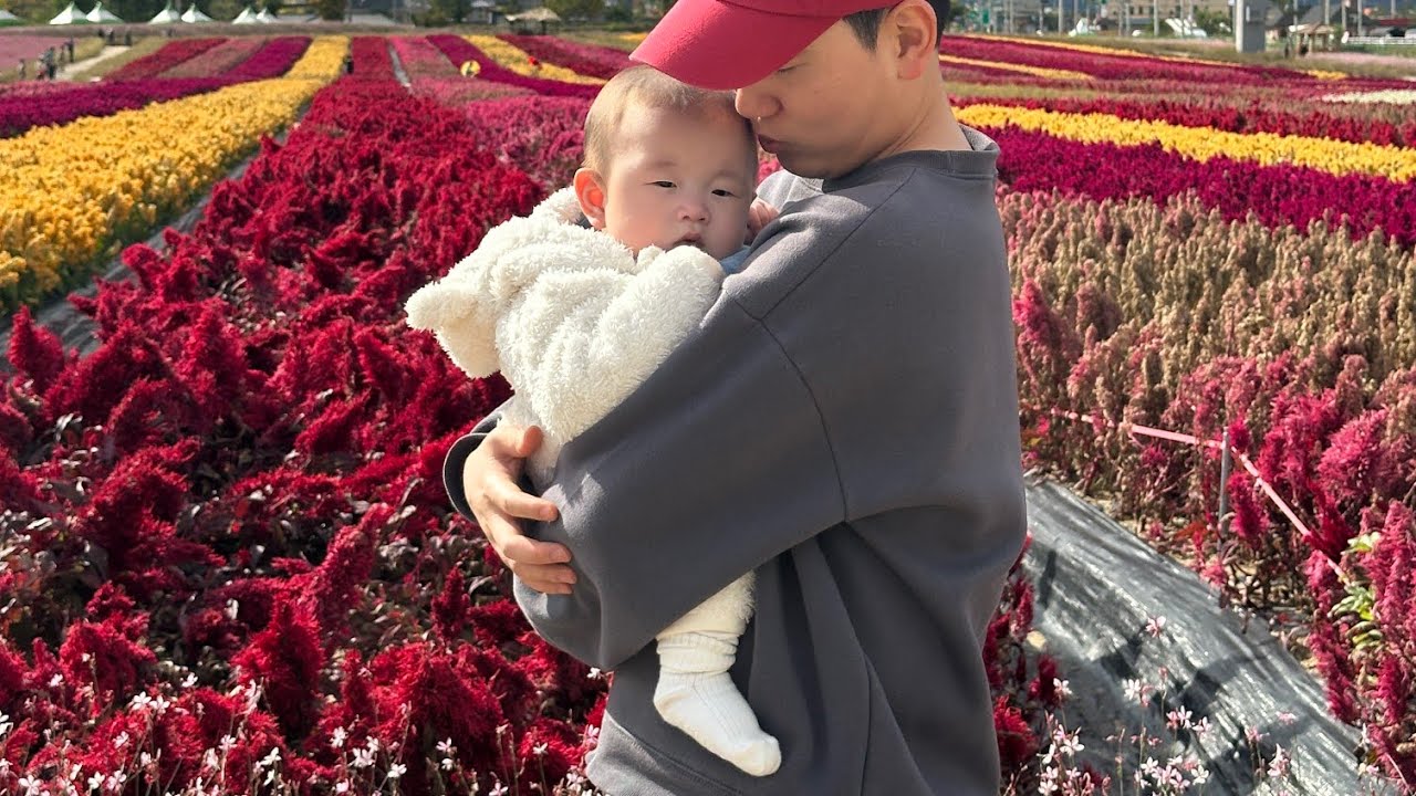 7개월 아기 알러지테스트,속초 당일치기,고석정