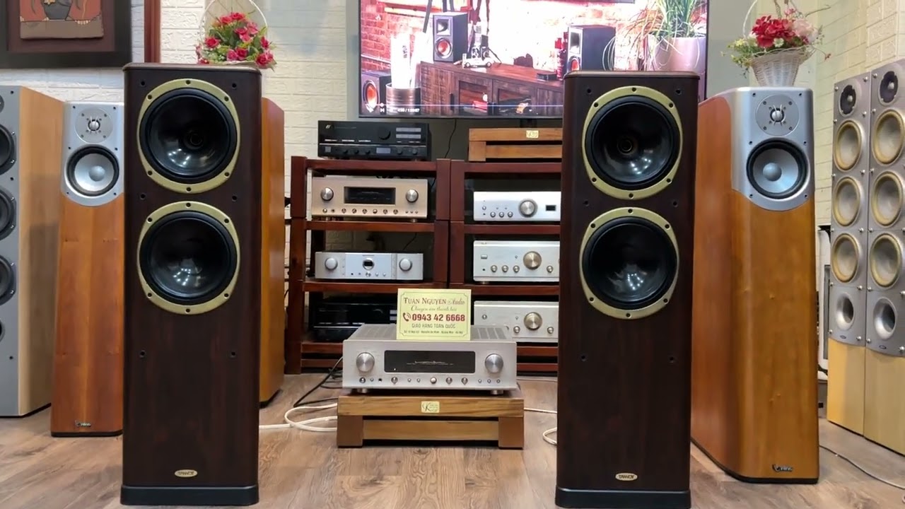 Loa  Tannoy  638  cực đẹp ,  chất âm gần như D 500 mà giá rẻ hơn nửa tiền, nghe hay bày đẹp.