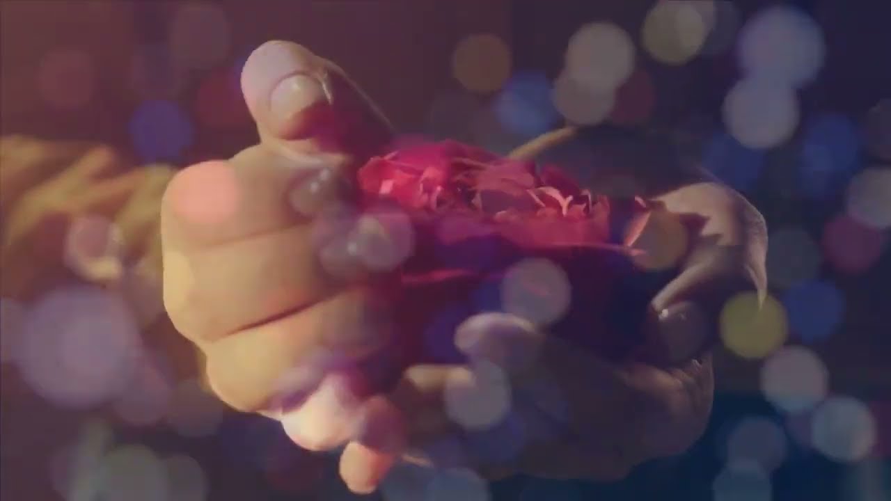 Королева красоты - Владислав Косарев     #music #красота#love #lovesong #любовь #video #nostalgia