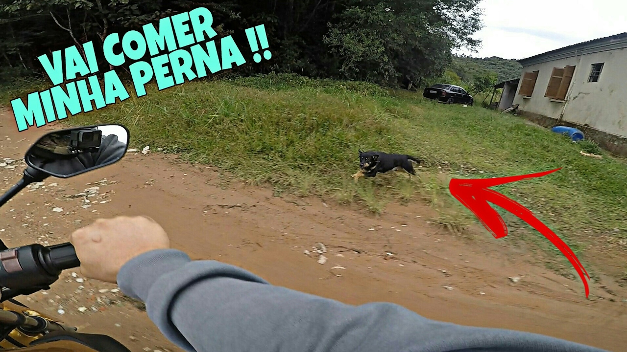CACHORRO ESTOUROU A CORRENTE E ME ATACOU NA MOTO 😲