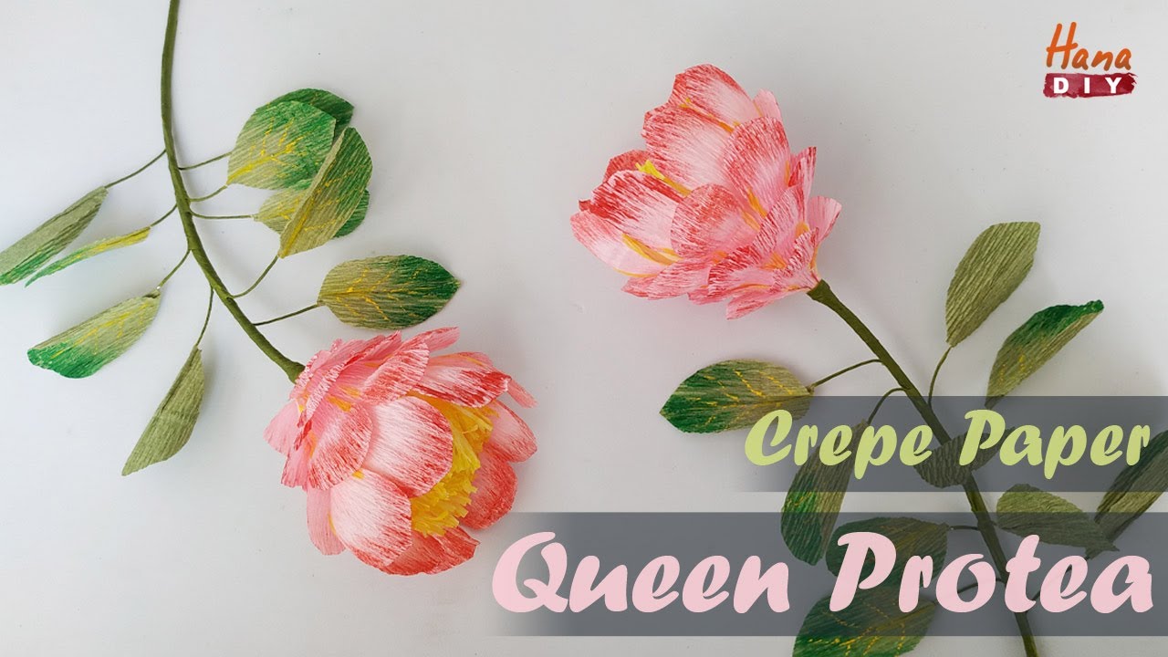 Easy crepe paper Queen protea - HanaDIY