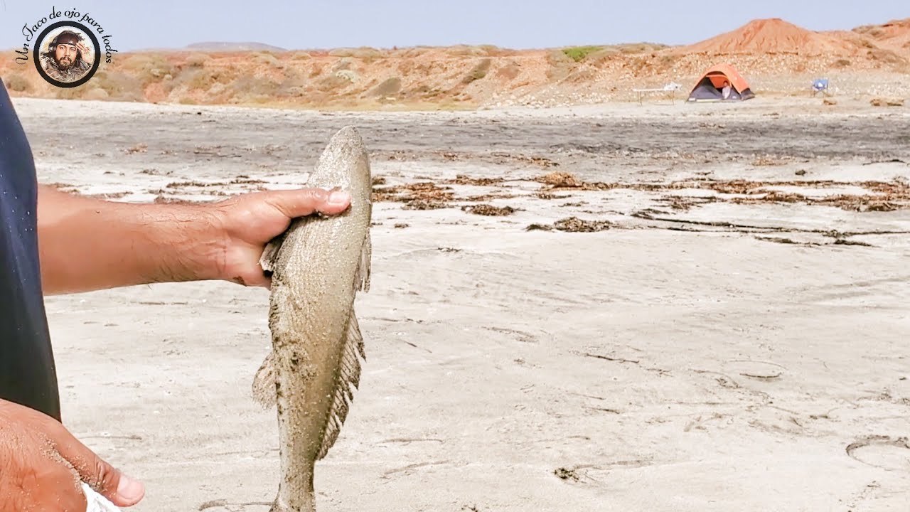 8 lugares perfectos para ir a pescar  en Baja California.  #fishing Rosarito y Ensenada #pesca