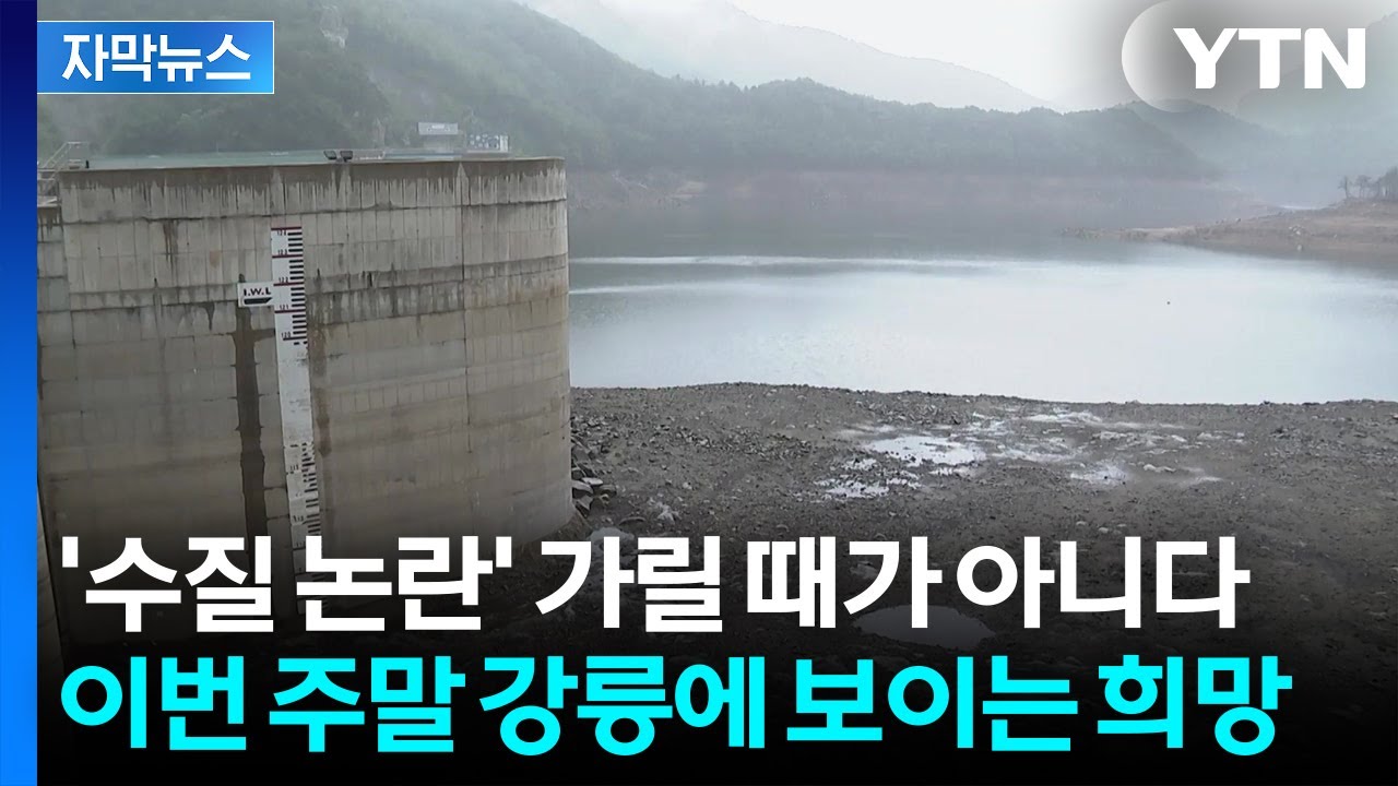 [자막뉴스] 생수로 연명하는 와중에...강릉, 실낱 같은 희망 / YTN
