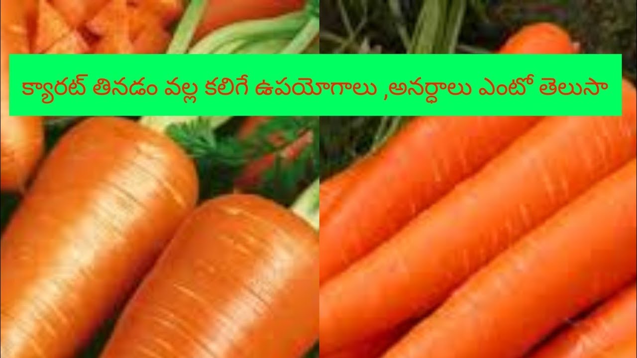 క్యారట్ తినడం వల్ల ఉపయోగాలు,అనర్ధాలు // uses and side effects of carrot in Telugu