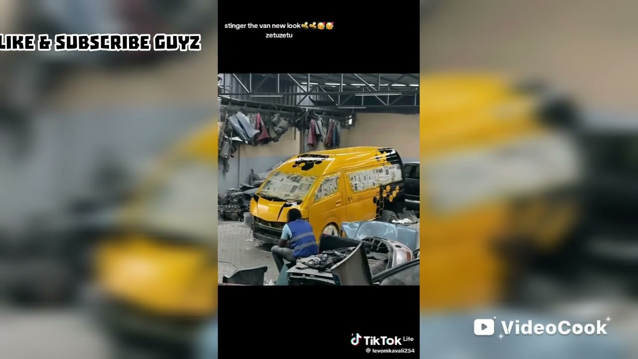 Stinger the van 
