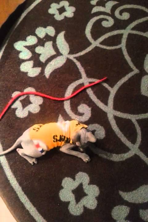 Bella and I play the bleh bleh game