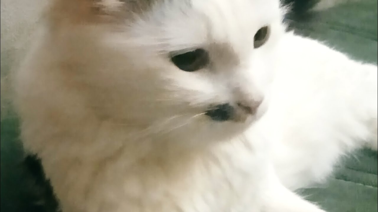 Люблю тебя очень