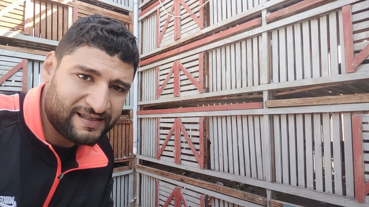 معلومه فى السريع افضل ميكس تاكيل يدوى