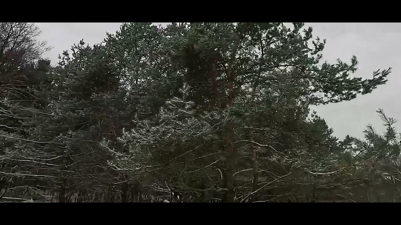 Winter walk | Silesia