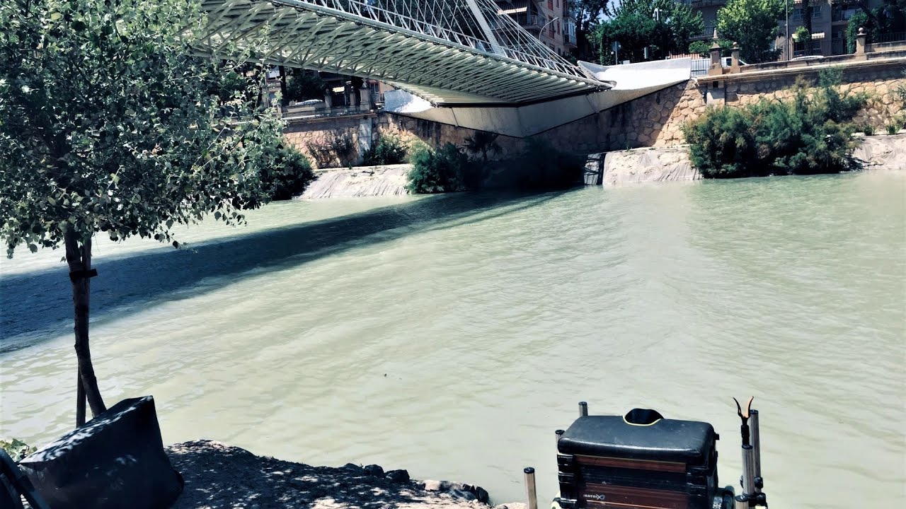 Match fishing in Spain 35 Rio Segura