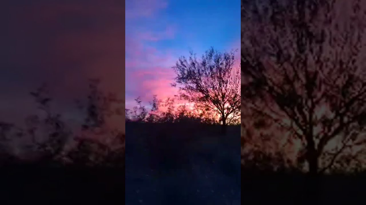 Orienting to the Moon Sunset, Live!